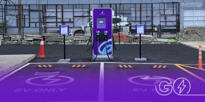 Zebra Square